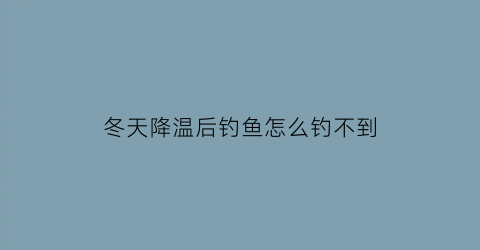 冬天降温后钓鱼怎么钓不到