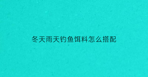 冬天雨天钓鱼饵料怎么搭配(冬季雨天如何钓大鲫鱼)