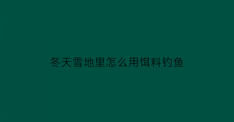冬天雪地里怎么用饵料钓鱼