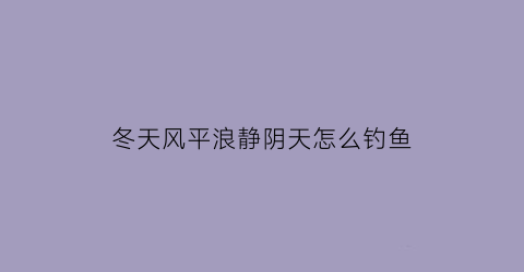 “冬天风平浪静阴天怎么钓鱼(冬季阴天的东北风适合钓鱼吗)