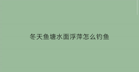 冬天鱼塘水面浮萍怎么钓鱼(冬天浮萍会死吗)
