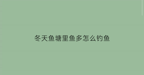 “冬天鱼塘里鱼多怎么钓鱼(冬天鱼塘里鱼多怎么钓鱼好)