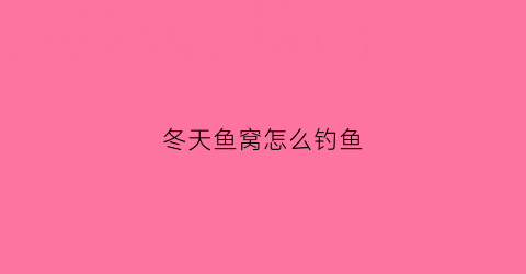 冬天鱼窝怎么钓鱼(冬天鱼窝一般在哪里)