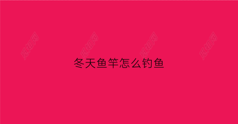 冬天鱼竿怎么钓鱼(冬天鱼竿怎么钓鱼好)