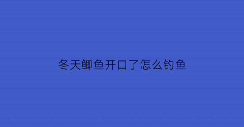 冬天鲫鱼开口了怎么钓鱼