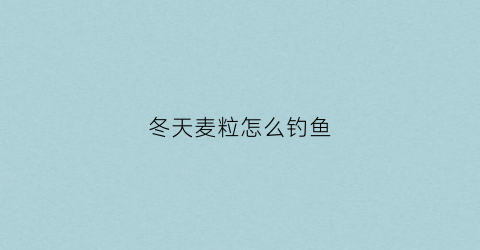 冬天麦粒怎么钓鱼(冬天麦粒怎么钓鱼效果好)