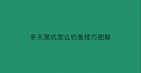 冬天黑坑怎么钓鱼技巧图解