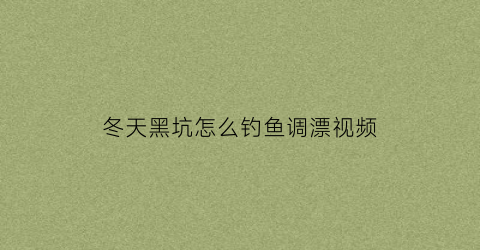 冬天黑坑怎么钓鱼调漂视频(冬天黑坑怎么钓鱼调漂视频讲解)