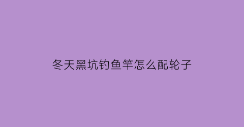 冬天黑坑钓鱼竿怎么配轮子