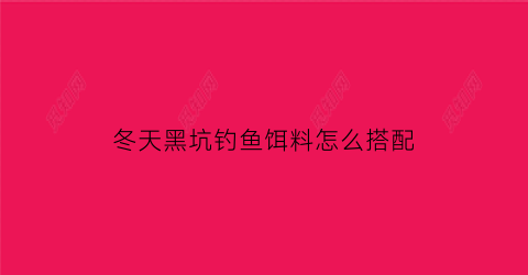 “冬天黑坑钓鱼饵料怎么搭配(冬天黑坑用什么饵料)