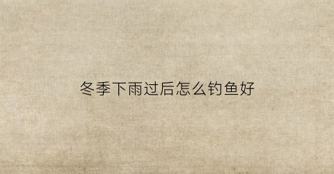 冬季下雨过后怎么钓鱼好(冬季下完雨钓鱼怎么样)