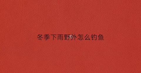 冬季下雨野外怎么钓鱼(冬季下雨野外怎么钓鱼最好)