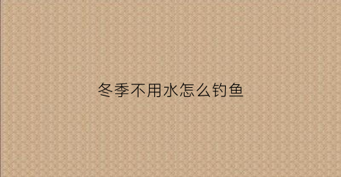冬季不用水怎么钓鱼(冬季不用水怎么钓鱼视频)