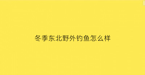 冬季东北野外钓鱼怎么样(冬季东北野外钓鱼怎么样钓)