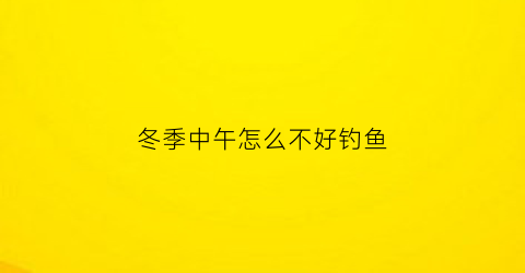 冬季中午怎么不好钓鱼(冬天中午有鱼钓吗)