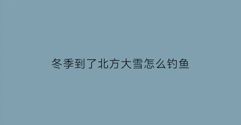 冬季到了北方大雪怎么钓鱼(北方冬天大雪)