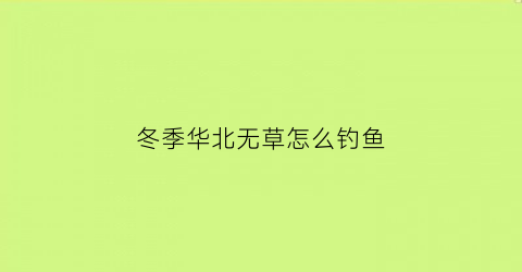 冬季华北无草怎么钓鱼