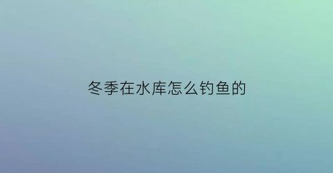 冬季在水库怎么钓鱼的