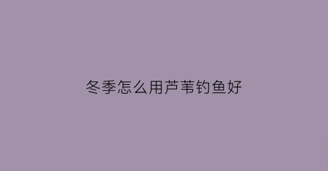 冬季怎么用芦苇钓鱼好(深冬钓芦苇荡)