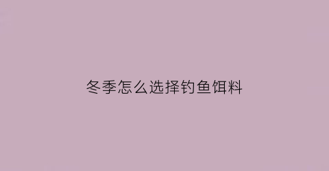 “冬季怎么选择钓鱼饵料(冬季钓鱼最好的饵料搭配)
