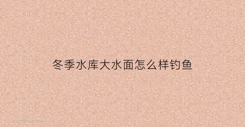 冬季水库大水面怎么样钓鱼(大水库冬天怎么钓鱼)