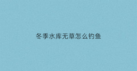 “冬季水库无草怎么钓鱼(冬季水库钓草鱼技巧)