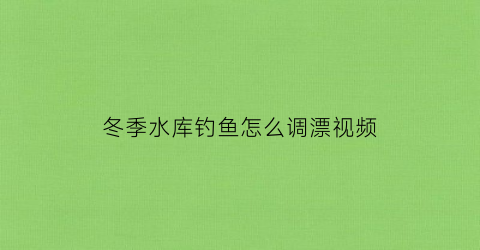 冬季水库钓鱼怎么调漂视频(冬季水库钓鱼技巧口诀)
