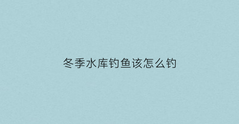 冬季水库钓鱼该怎么钓(冬天水库怎么钓)