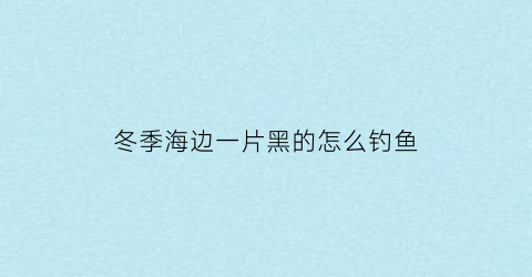 冬季海边一片黑的怎么钓鱼