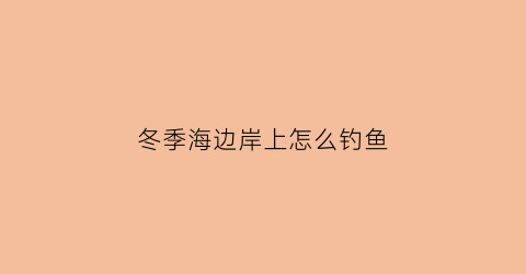 冬季海边岸上怎么钓鱼(冬天海岸边还能钓鱼吗)