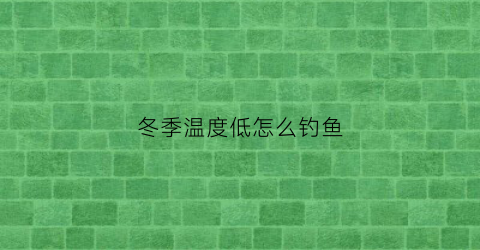 冬季温度低怎么钓鱼(冬季温度低怎么钓鱼好)