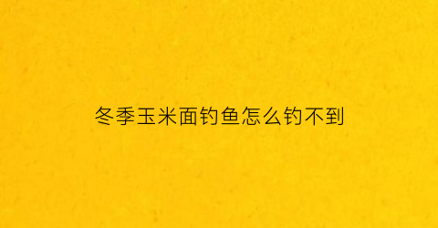 “冬季玉米面钓鱼怎么钓不到(冬天用玉米面钓鱼)