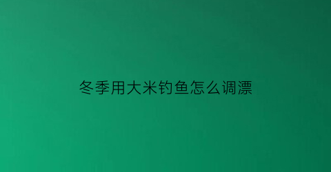 冬季用大米钓鱼怎么调漂(冬季用米饭钓鱼)