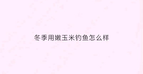 “冬季用嫩玉米钓鱼怎么样(冬天用嫩玉米钓翘嘴怎么样)