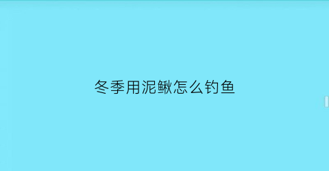 冬季用泥鳅怎么钓鱼(冬季用泥鳅怎么钓鱼呢)