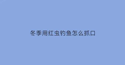 冬季用红虫钓鱼怎么抓口(冬天钓红虫)