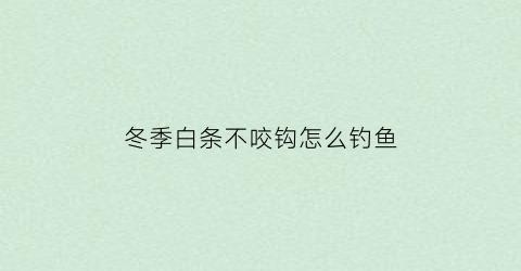 冬季白条不咬钩怎么钓鱼(冬季白条不咬钩怎么钓鱼好)