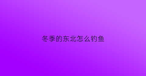 冬季的东北怎么钓鱼(冬季的东北怎么钓鱼好)
