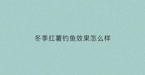 冬季红薯钓鱼效果怎么样(红薯能钓什么鱼冬天)