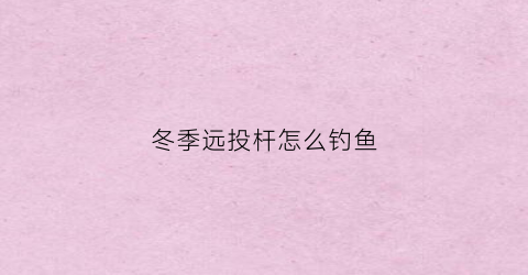 冬季远投杆怎么钓鱼(冬季远投杆怎么钓鱼视频)