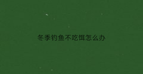 冬季钓鱼不吃饵怎么办(冬季钓鱼不吃食怎么办)