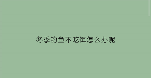 “冬季钓鱼不吃饵怎么办呢(冬季饵料钓鱼为啥鱼不吃)