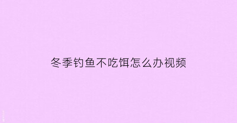 冬季钓鱼不吃饵怎么办视频