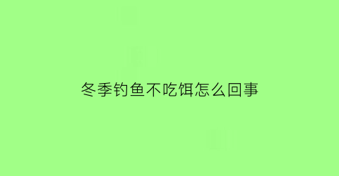 “冬季钓鱼不吃饵怎么回事(冬季鱼不吃饵料)