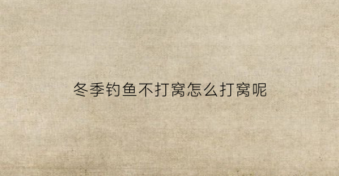 冬季钓鱼不打窝怎么打窝呢(冬季钓鱼不打窝反而好钓)