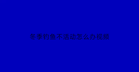 冬季钓鱼不活动怎么办视频(冬季钓鱼不活动怎么办视频讲解)