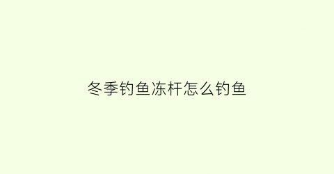 冬季钓鱼冻杆怎么钓鱼(冻钓技巧)