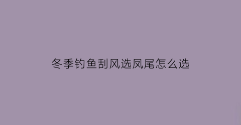 “冬季钓鱼刮风选凤尾怎么选(冬天啥风钓鱼最好)