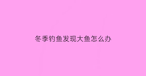 冬季钓鱼发现大鱼怎么办