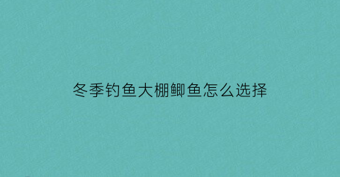 冬季钓鱼大棚鲫鱼怎么选择